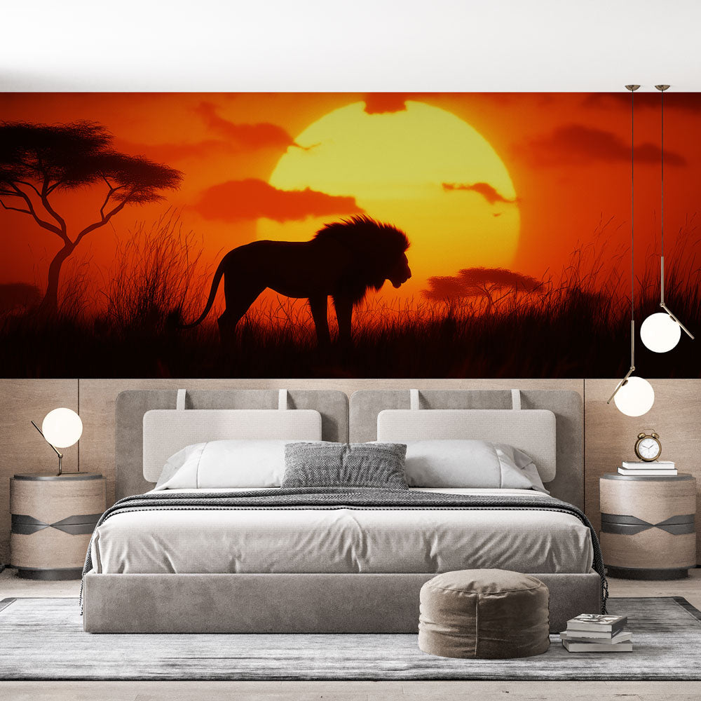 Lion at Sunset Wallpaper | Majestic Silhouette on Sky