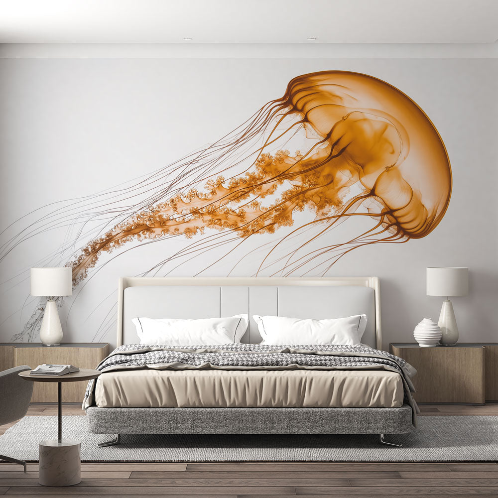 Jellyfish Wallpaper | Translucent Orange Jellyfish on White