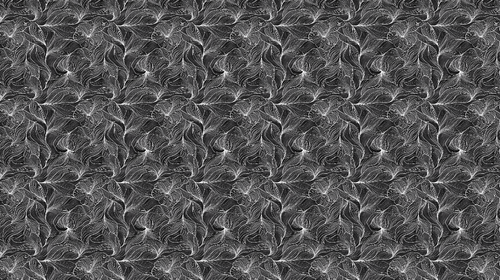 Black & White Petals Wallpaper | Graphic Floral Wall Mural