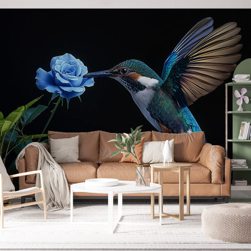 Hummingbird wallpaper with vibrant bird feeding on blue rose against dramatic black background