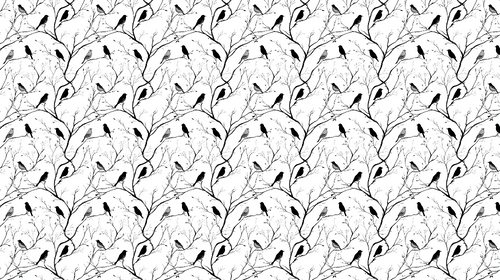 Bird Wallpaper | Black and White Branches Wall Mural