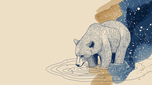 Bear Wallpaper | Realistic Bear by Water Under a Starry Sky