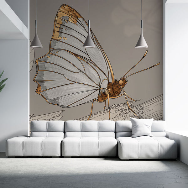 Butterfly Wallpaper | Translucent Wings with Golden Detail