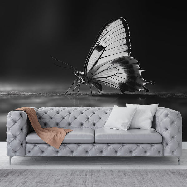 Black White Butterfly Wallpaper | Delicate Details Mural