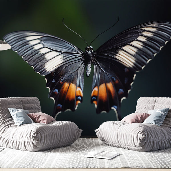 Butterfly Wallpaper | Black Butterfly with Colourful Wings