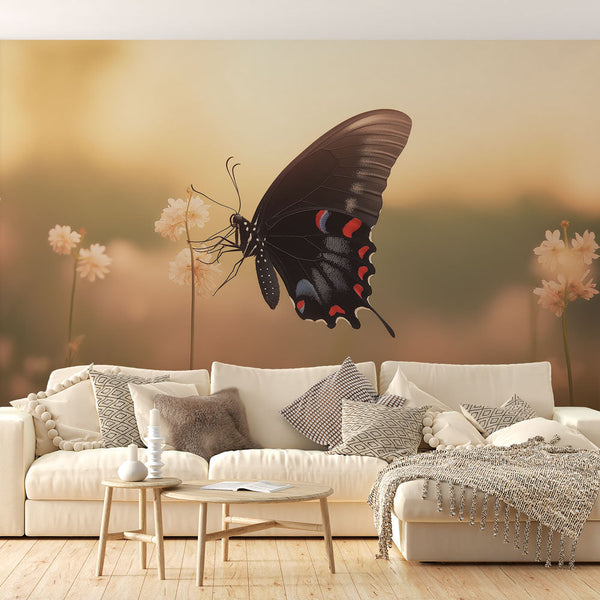 Butterfly Wallpaper | Vibrant Black Butterfly Floral Backdrop