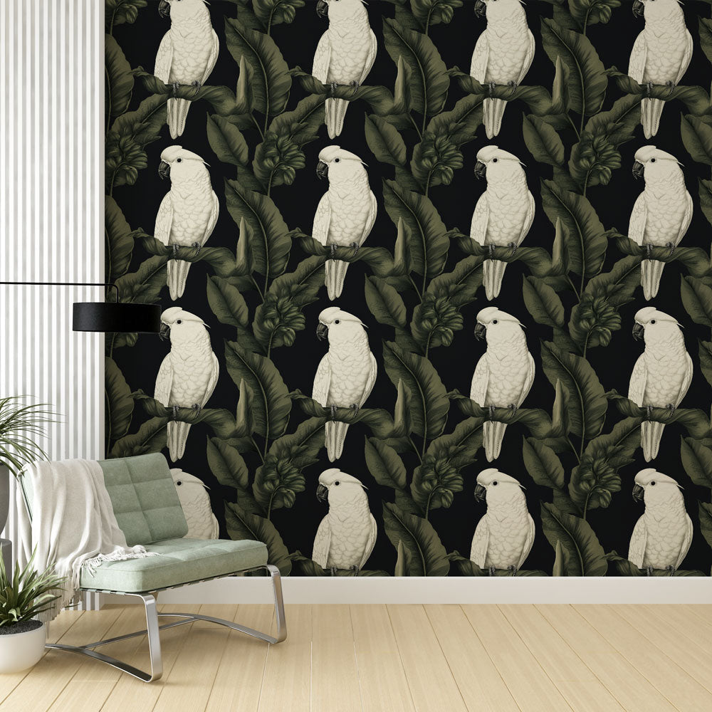 Parrot Wallpaper | White Parrots on Black With Lush Leaves
