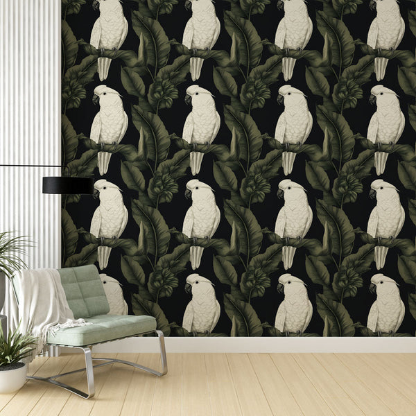 Parrot Wallpaper | White Parrots on Black With Lush Leaves