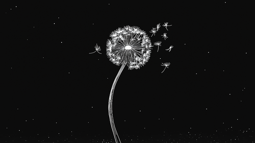 Dandelion wallpaper | White stylized bloom on black wall mural