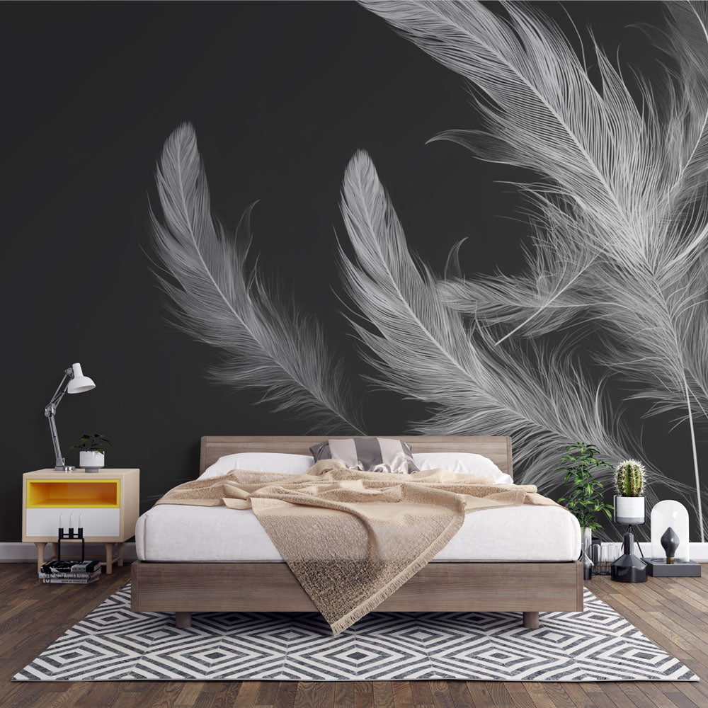 Feather Wallpaper | Black and White Wall Mural