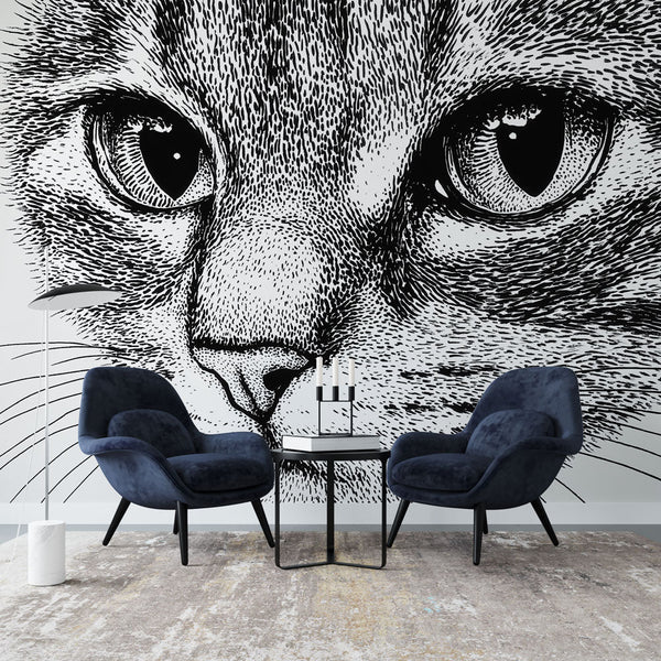 Elegant Black and White Cat Portrait Wallpaper