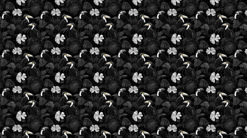 Black and White Tropical Wallpaper | Toucans and Blooms