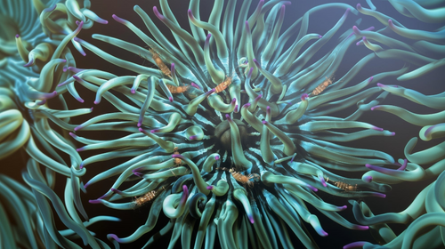 Anemone Wallpaper | Vibrant Turquoise Marine Wall Mural